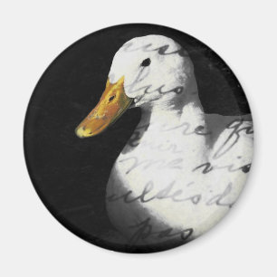 Imán Quackers