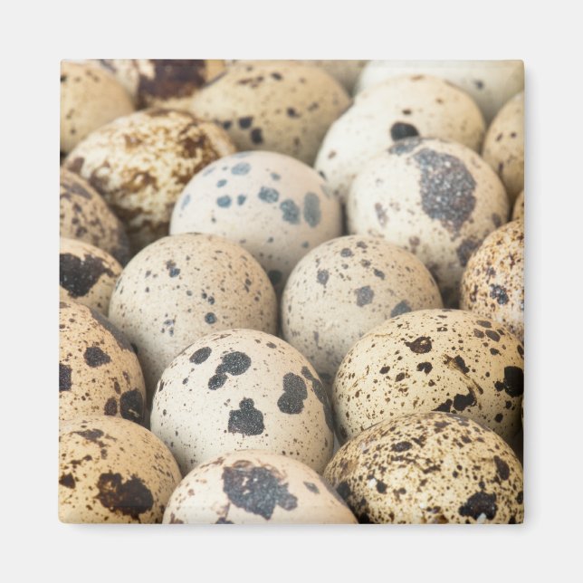 Imán Quail Eggs (Frente)