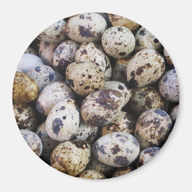 Imán Quail Eggs (Frente)