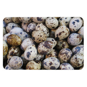 Imán Quail Eggs