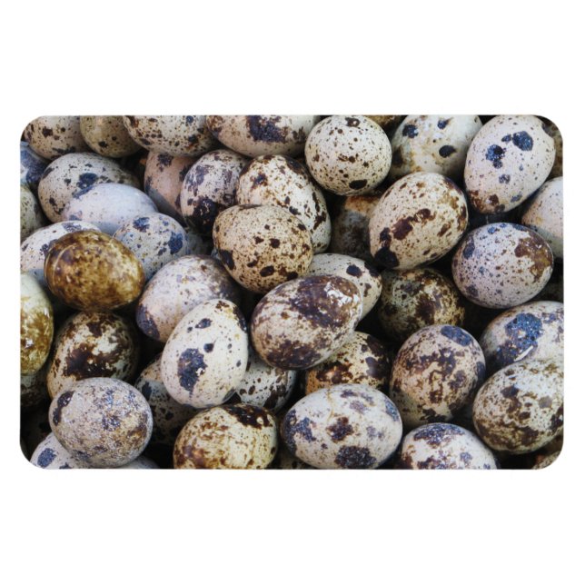 Imán Quail Eggs (Horizontal)