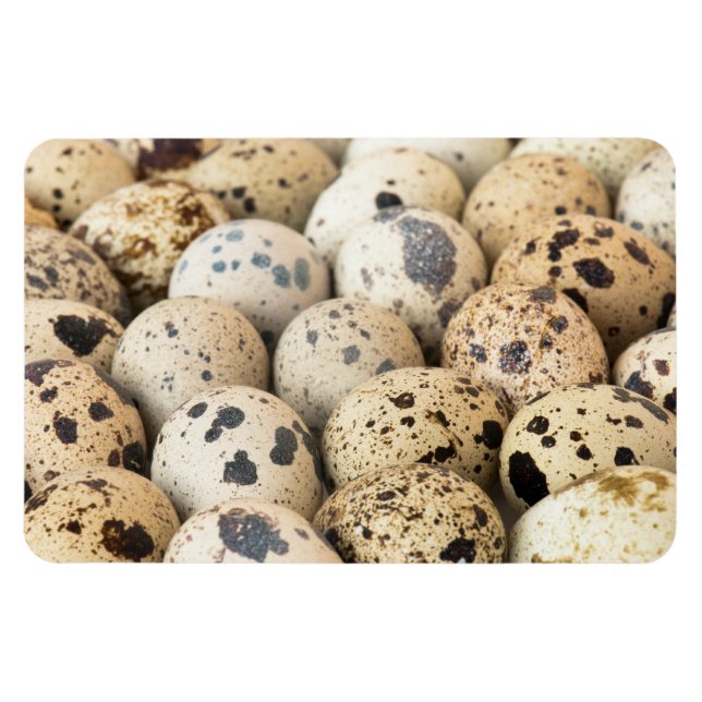 Imán Quail Eggs (Horizontal)