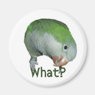 Imán ¿Qué?
