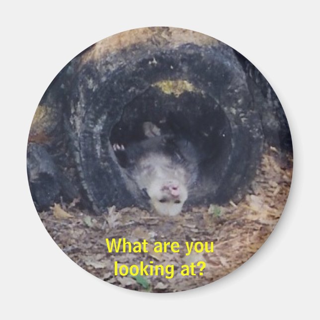 Imán ¡Qué Día! -imán (Frente)