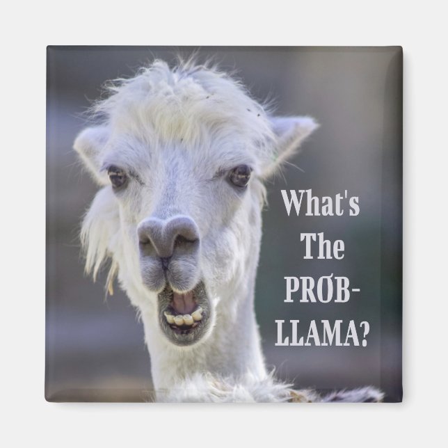 Imán ¿Qué es el Prob- Llama? Cute Funny LLAMA (Frente)