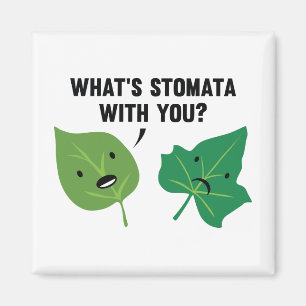 Imán ¿Qué es Stomata contigo?