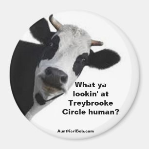 Imán ¿Qué estás viendo en Treybrooke Circle humano?