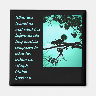 Imán ¿Qué hay en el interior?