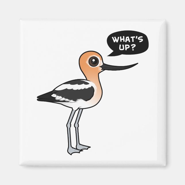 Imán ¿Qué pasa? (Frente)