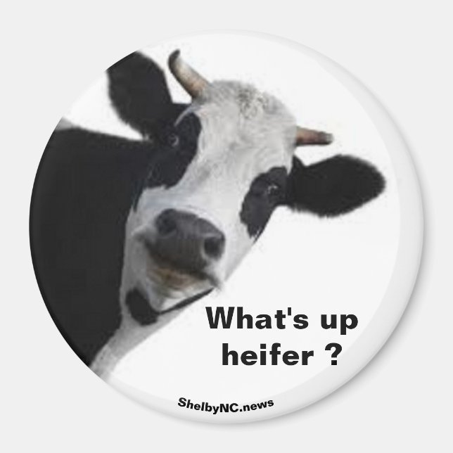 Imán ¿Qué pasa con Heifer? (Frente)
