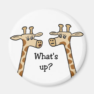 Imán ¿Qué pasa? Giraffe imnet