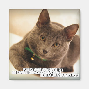 Imán ¿Qué regalo más grande que el amor a un gato?