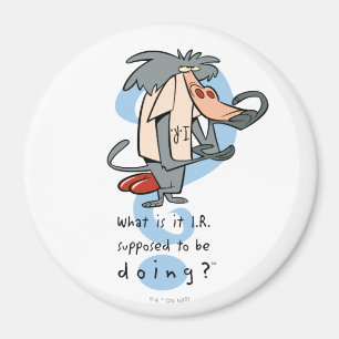 Imán ¿Qué se supone que debe hacer la I.R.?™