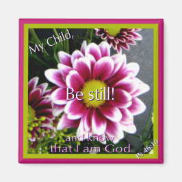 Imán ¡Quédate quieto!