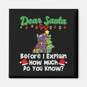 Imán Querido Santa Antes de Explicar Cuánto Sabes
