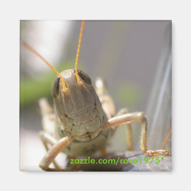 Imán ¡Queso! (Frente)