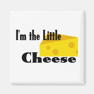 Imán Queso pequeño