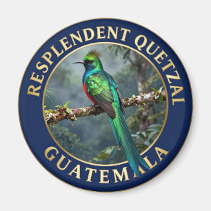 Imán 🐦 Quetzal Resplandeciente Guatemala Ave Exótica