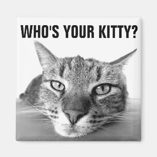 Imán ¿Quién es tu gatito? Magnates, Tabby