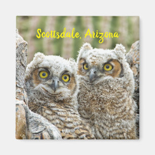 Imán ¿Quién está ahí? Pareja de búhos en Scottsdale, Ar