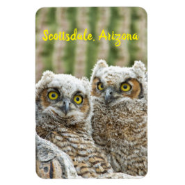 Imán ¿Quién está ahí? Pareja de Owl's Scottsdale, Arizo