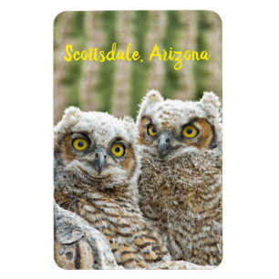 Imán ¿Quién está ahí? Pareja de Owl's Scottsdale, Arizo