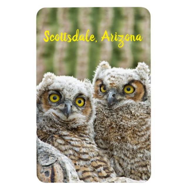 Imán ¿Quién está ahí? Pareja de Owl's Scottsdale, Arizo (Vertical)