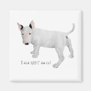 Imán ¿Quién, yo? Cachorro de Bull Terrier