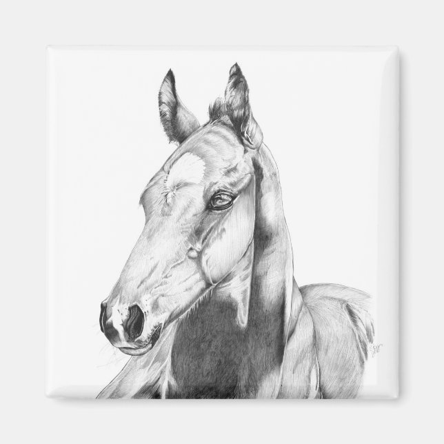 Imán Quiet Gaze (Frente)