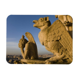 Imán Quimera en la fachada de la Catedral de Notre Dame