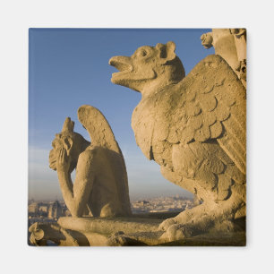 Imán Quimera en la fachada de la Catedral de Notre Dame