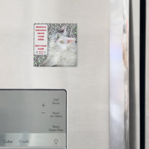 Imán Quita los tintes de tu mente, no de tu pelo