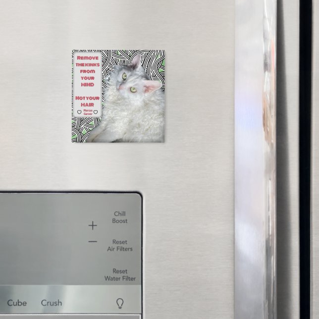 Imán Quita los tintes de tu mente, no de tu pelo (In situ (nevera))