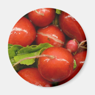 Imán Rábano rojo