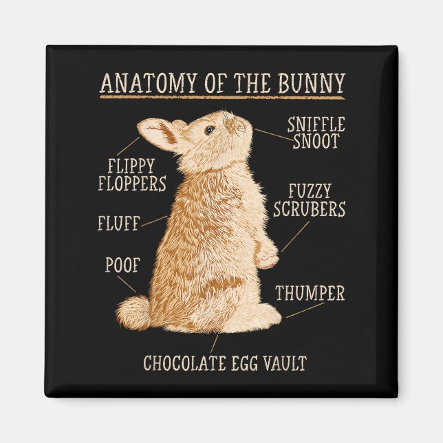 Imán Rabbit Anatomy Bunny Lover Animal Pet Owner  (Frente)
