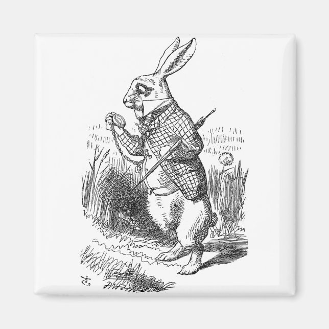 Imán Rabbit Magnet (Frente)