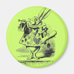 Imán Rabbit Magnet