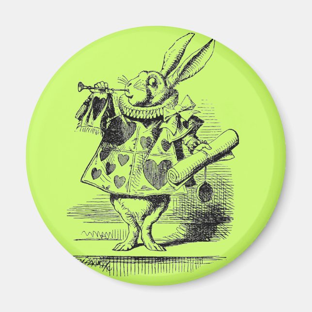 Imán Rabbit Magnet (Frente)