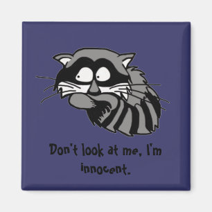Imán Raccoon