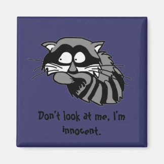 Imán Raccoon