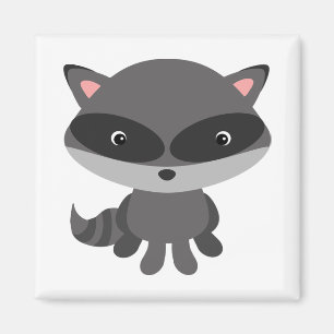 Imán Raccoon