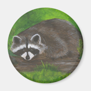 Imán Raccoon