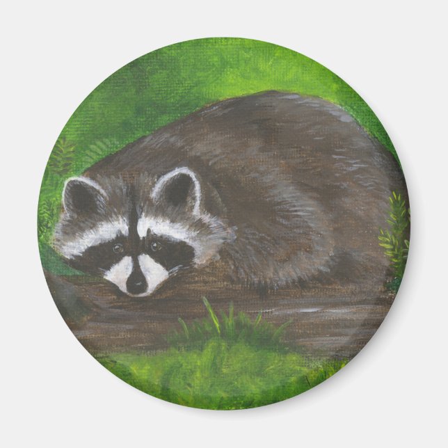 Imán Raccoon (Frente)