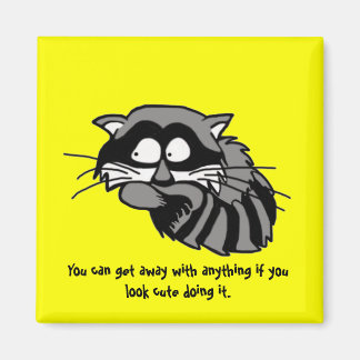 Imán Raccoon