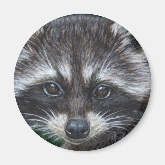 Imán Raccoon #3 (Frente)