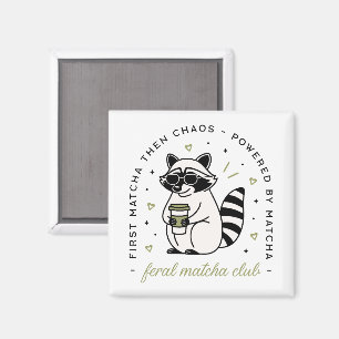 Imán Raccoon bebiendo matcha club divertido animal kawa
