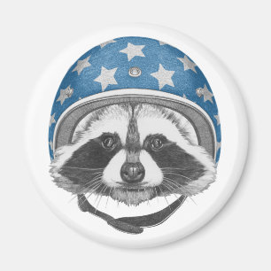 Imán Raccoon Daredevil