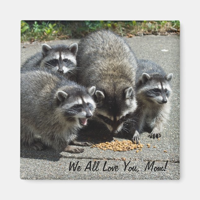 Imán Raccoon Family Mom Magnet (Frente)