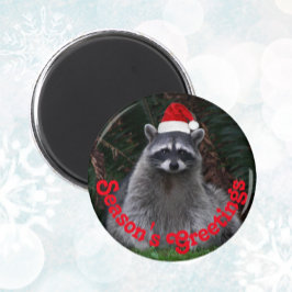 Imán Raccoon lindo con vacaciones de Red Santa Hat
