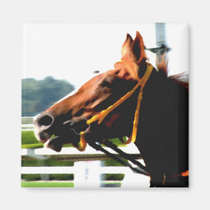 Imán Race Horse Magnet